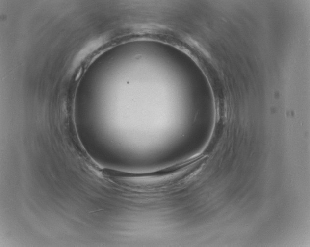 X0000060741261200511241629