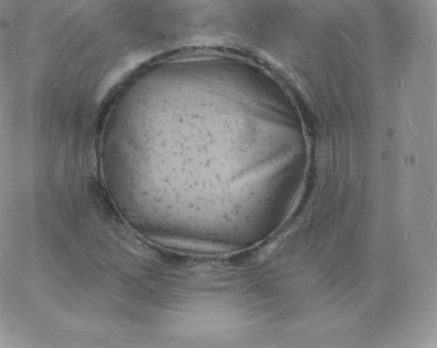 X0000060741262200511241629