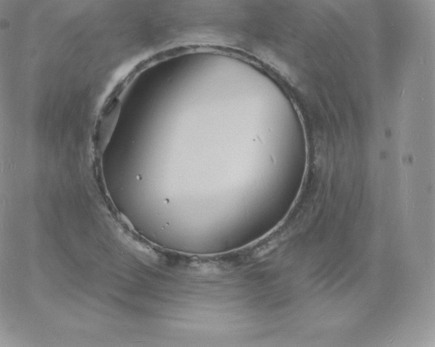 X0000060741264200511241629