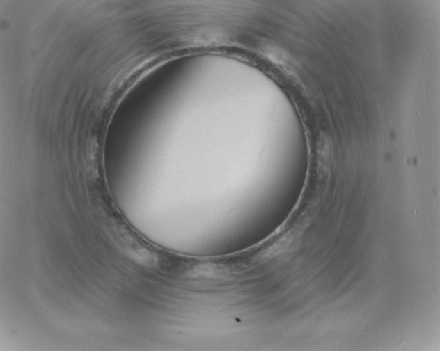 X0000060741265200511241629