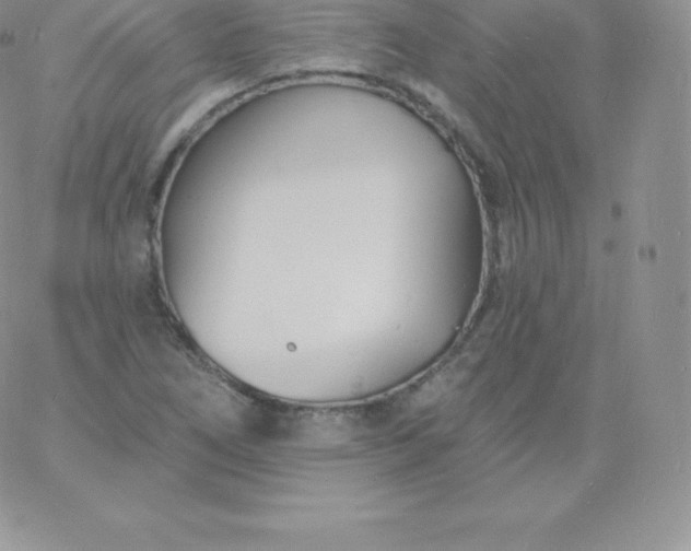 X0000060741266200511241629