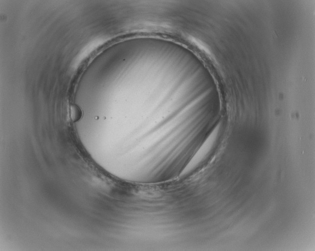 X0000060741267200511241629