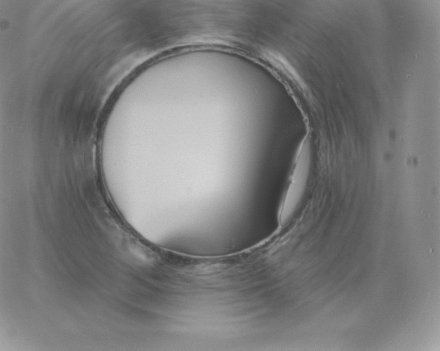 X0000060741268200511241629