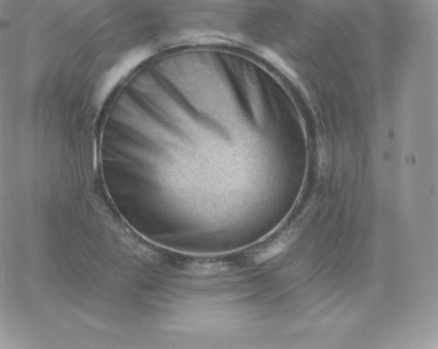 X0000060741269200511241629