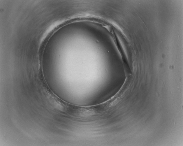 X0000060741270200511241629