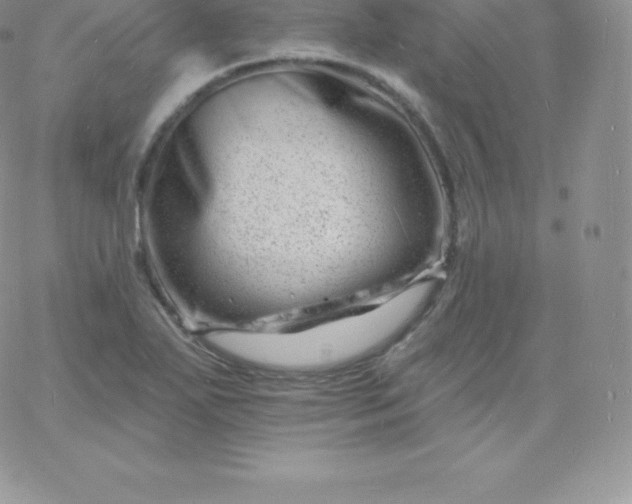 X0000060741271200511241629