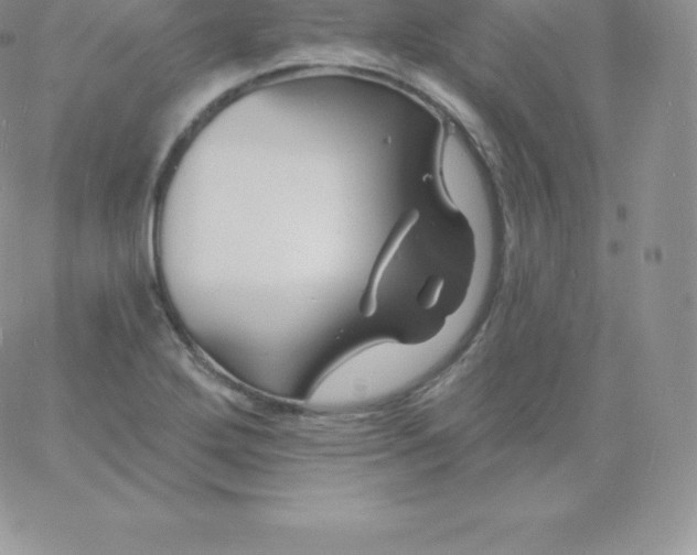 X0000060741272200511241629