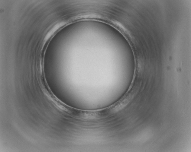 X0000060741274200511241629