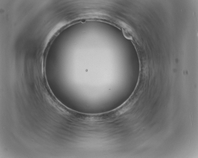 X0000060741275200511241629