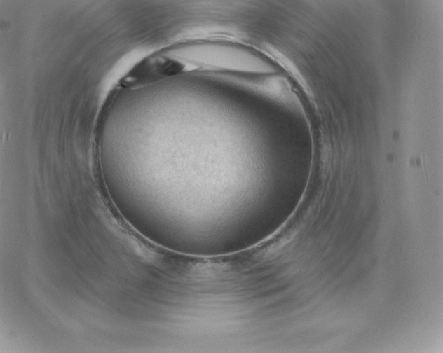 X0000060741277200511241629