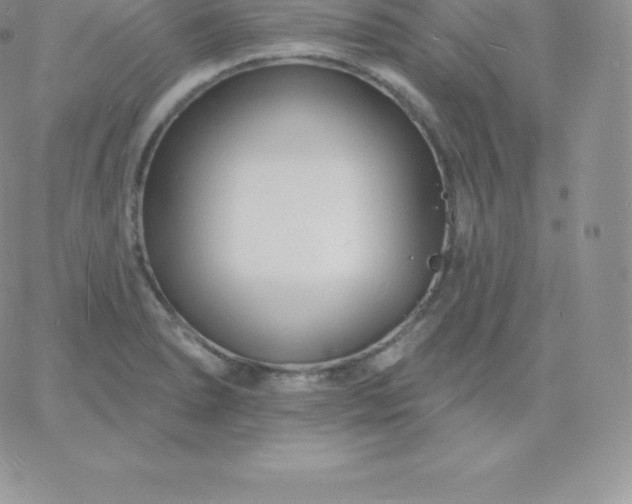 X0000060741278200511241629