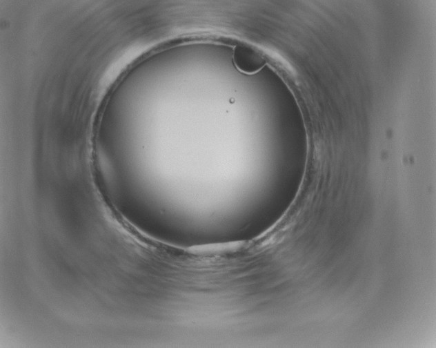 X0000060741279200511241629