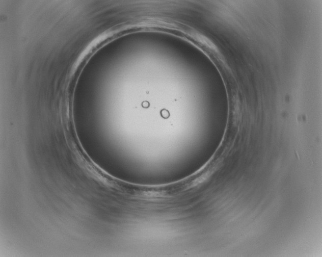 X0000060741280200511241629