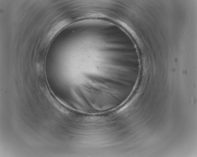 X0000060741281200511241629