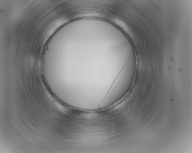 X0000060741282200511241629