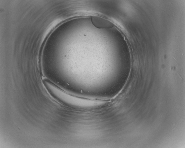 X0000060741283200511241629