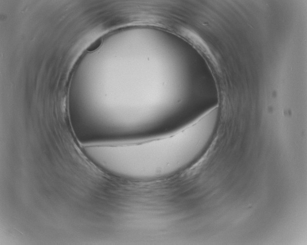 X0000060741284200511241629