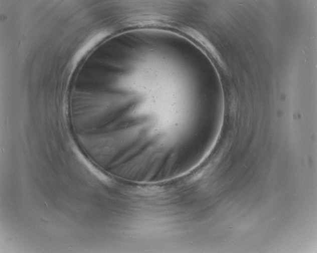 X0000060741285200511241629