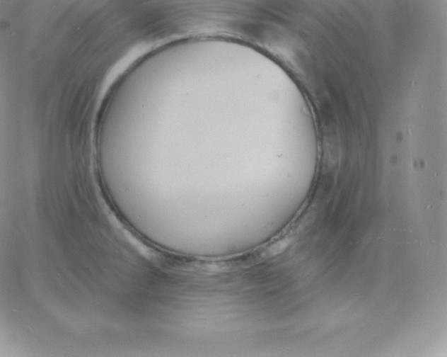 X0000060741286200511241629