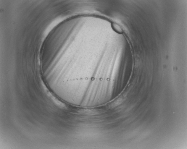 X0000060741287200511241629