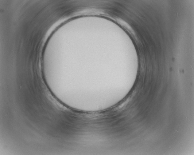 X0000060741288200511241629