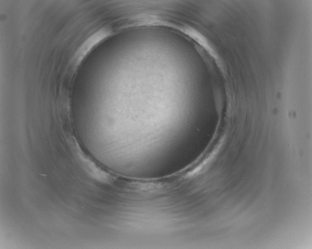 X0000060741289200511241629