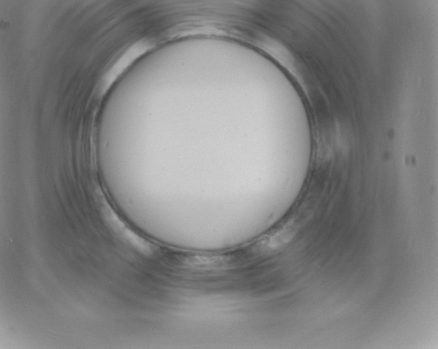 X0000060741290200511241629