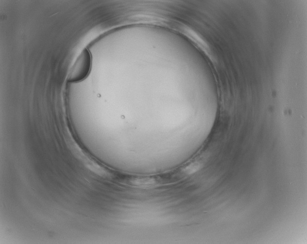 X0000060741291200511241629