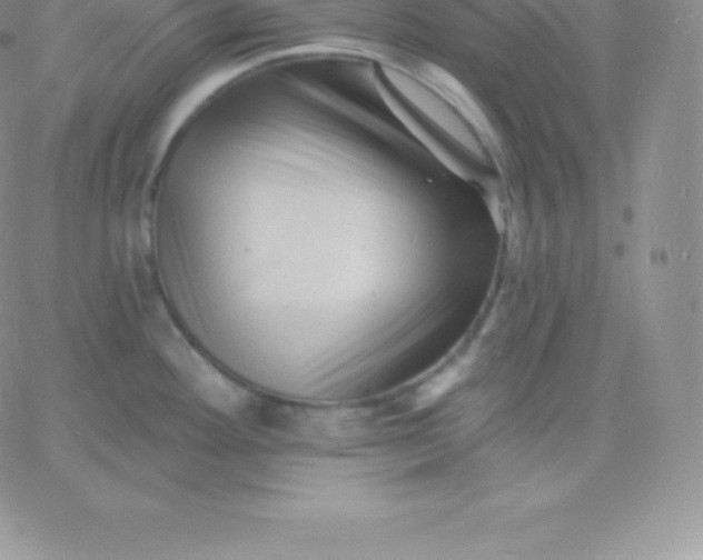 X0000060741292200511241629