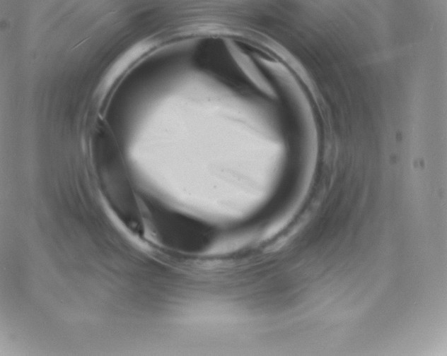 X0000060741293200511241628