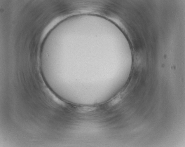 X0000060741294200511241628