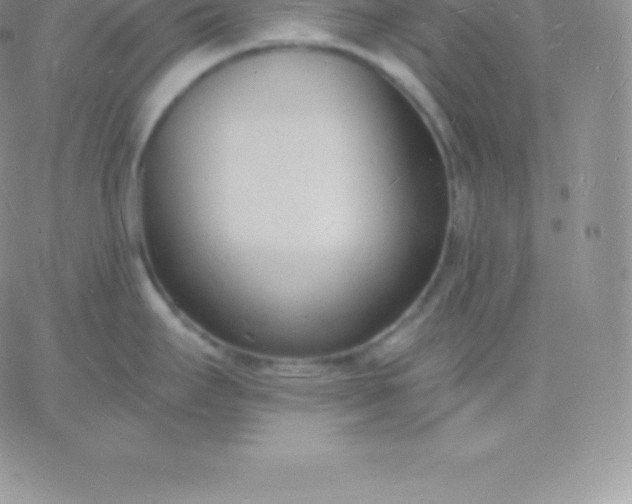 X0000060741295200511241628