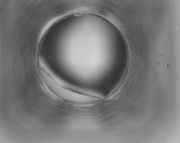 X0000060741296200511241628