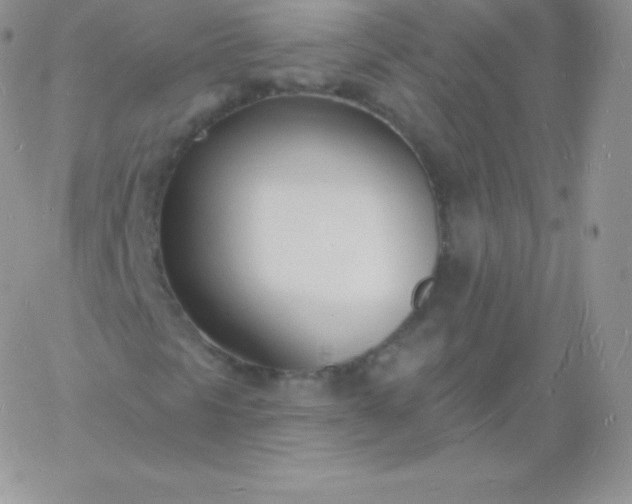 X0000060741297200511241628