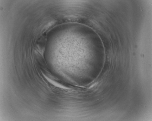 X0000060741298200511241628