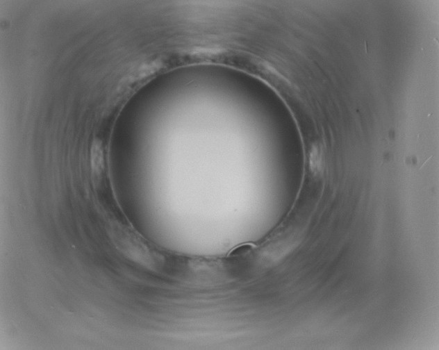 X0000060741299200511241628