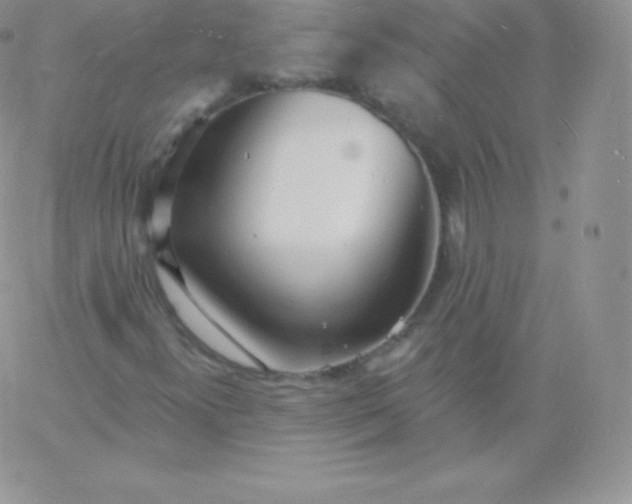 X0000060741300200511241628