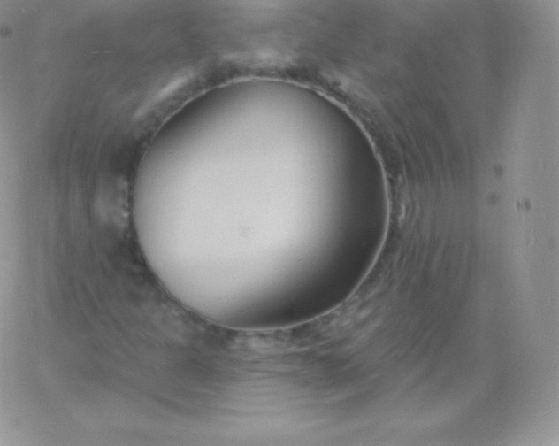 X0000060741301200511241628