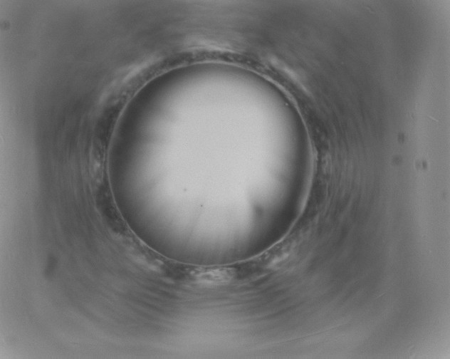 X0000060741303200511241628