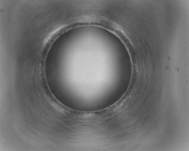 X0000060741304200511241628