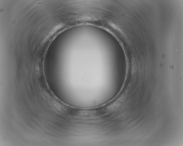 X0000060741305200511241628