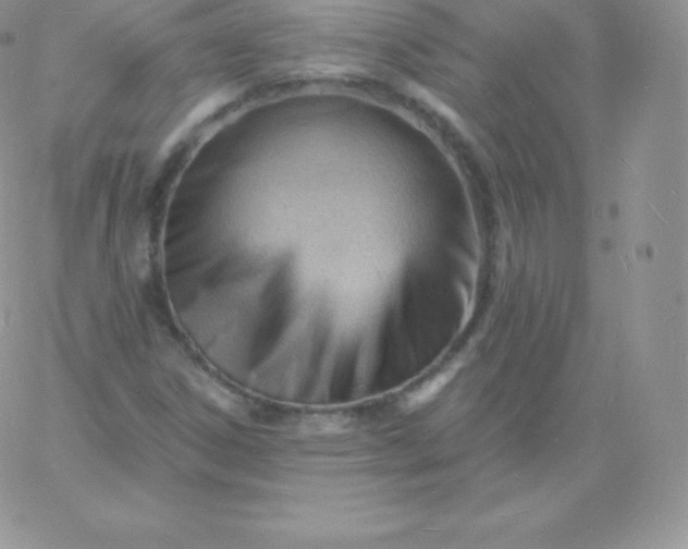 X0000060741306200511241628