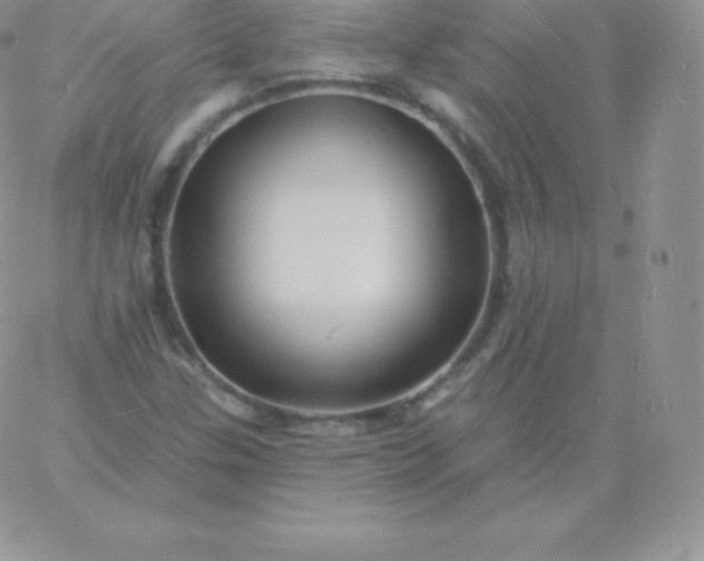 X0000060741307200511241628