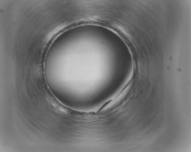 X0000060741308200511241628