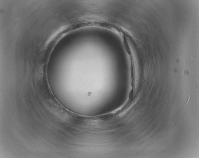 X0000060741309200511241628