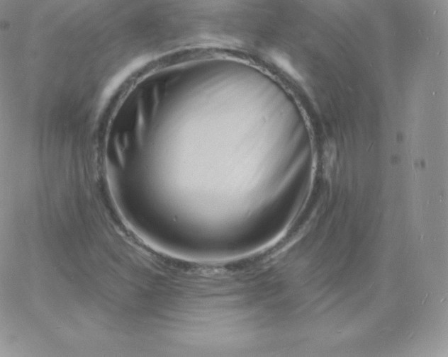 X0000060741310200511241628