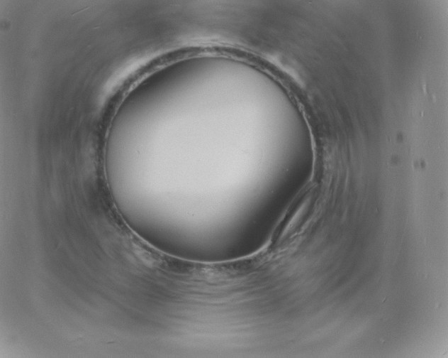 X0000060741311200511241628