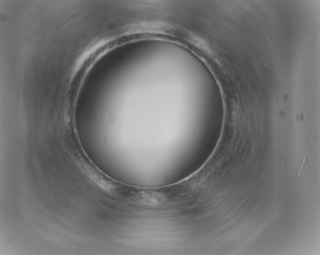 X0000060741312200511241628