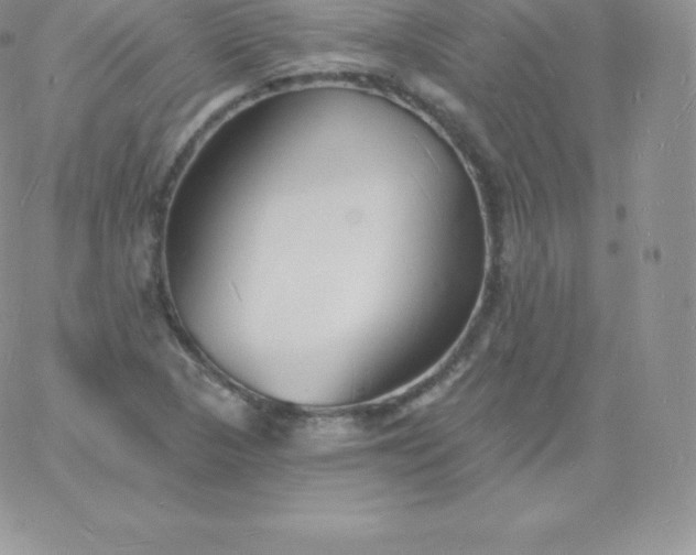 X0000060741313200511241628