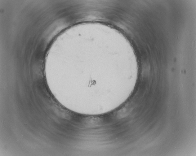 X0000060741314200511241628